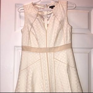 Ann Taylor Lace Dress